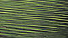 _A004157croofm.jpg